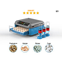 Висок клас SMART автоматичен инкубатор за 36 Яйца - I21 